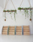 Cerita Solid Wood Front Facing Book Shelf Aden + Ren Malaysia